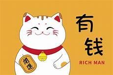 个性猫咪图片