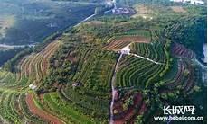 唐山千百地市场在哪