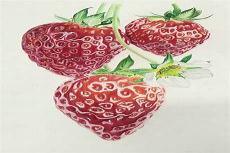 草莓彩铅画入门教程图