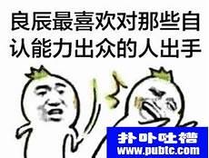 野良辰表情包动态