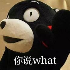 走丢的熊本熊