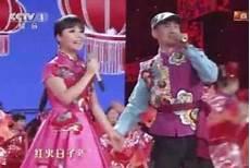 王二妮身价多少亿